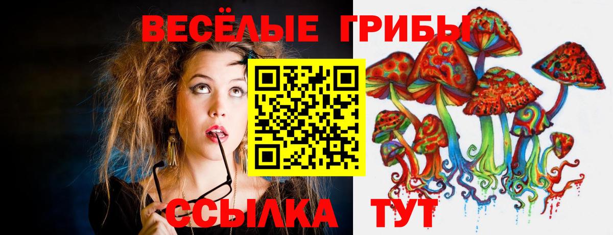 Галлюциногенные грибы MAGIC MUSHROOMS  Вход с VPN  Чусовой 
